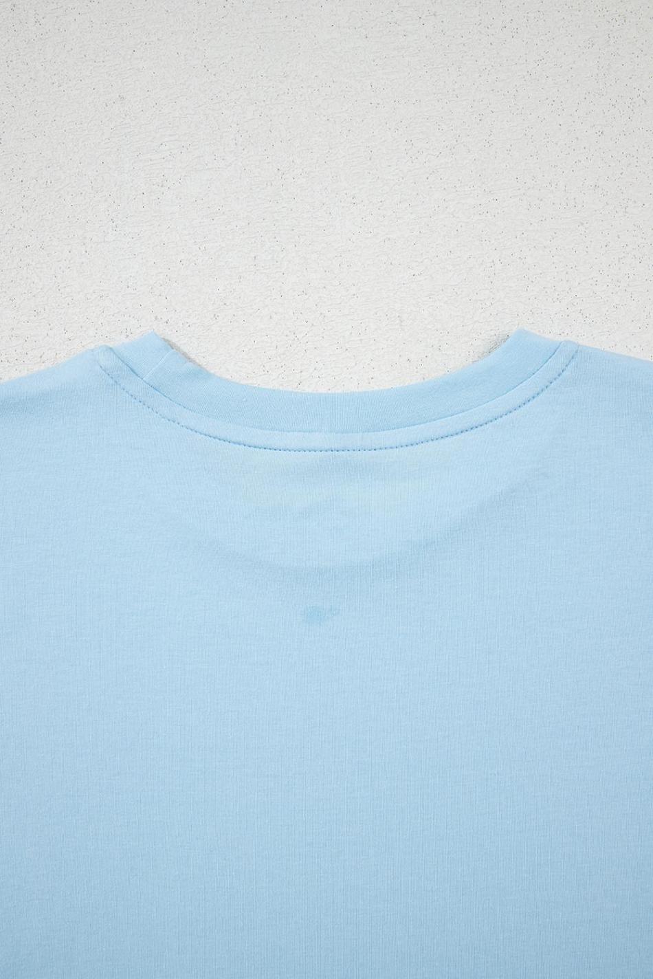 Light Blue Solid Color Basic Crew Neck Tee | Women T Shirts
